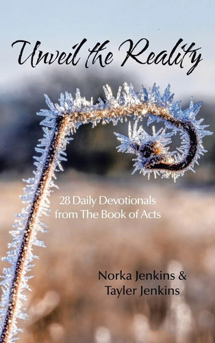 Norka jenkins unveil - |,